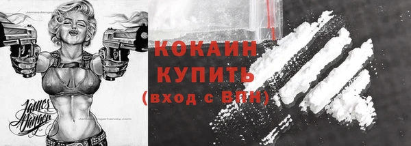 соль ск Арсеньев