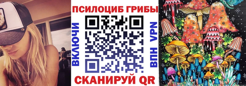МЕГА ссылки  Вилюйск  Псилоцибиновые грибы GOLDEN TEACHER 